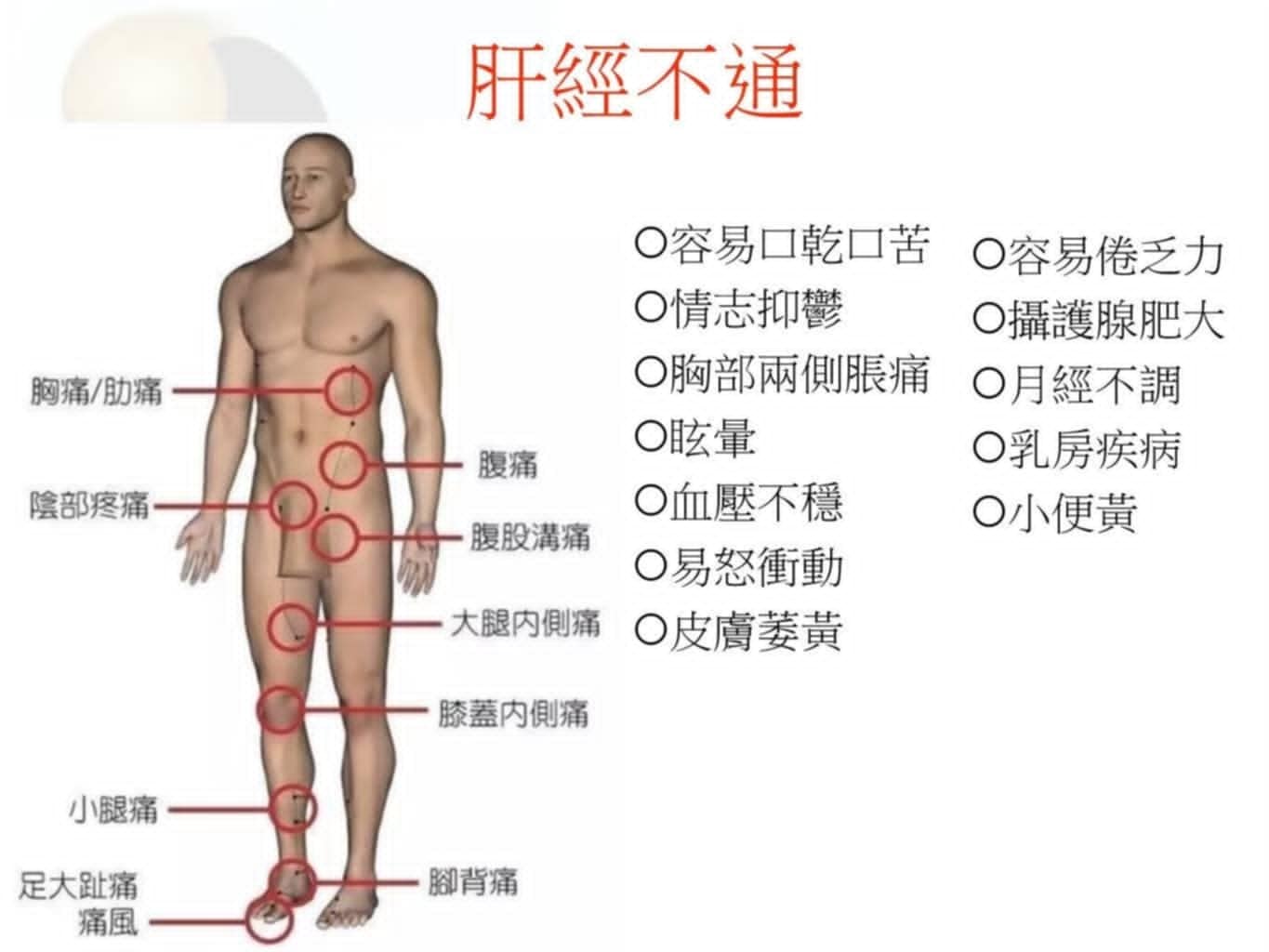 【經絡滾筒課程】Z-ONE 非滾不可~唐莊教室│體驗12條經絡暢通│增加氣血循環力│認識經絡筋膜│唐莊企業有限公司 - 第3張圖 3