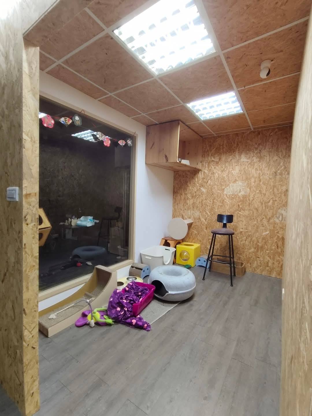 【新北裝潢】毛怪樂園~木作工程│水電工程&玻璃工程│唐莊企業有限公司│木居手作工坊 - 第13張圖 14
