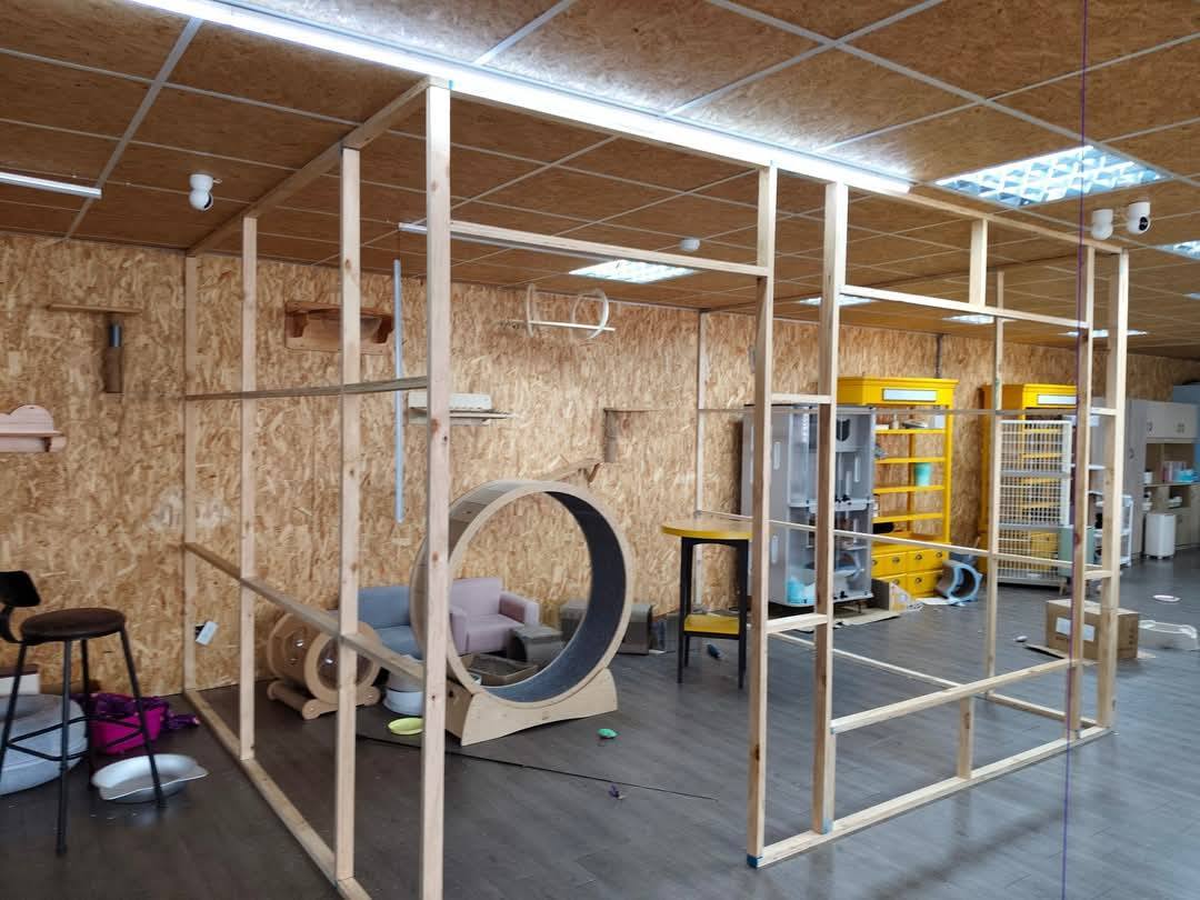 【新北裝潢】毛怪樂園~木作工程│水電工程&玻璃工程│唐莊企業有限公司│木居手作工坊 - 第4張圖 5