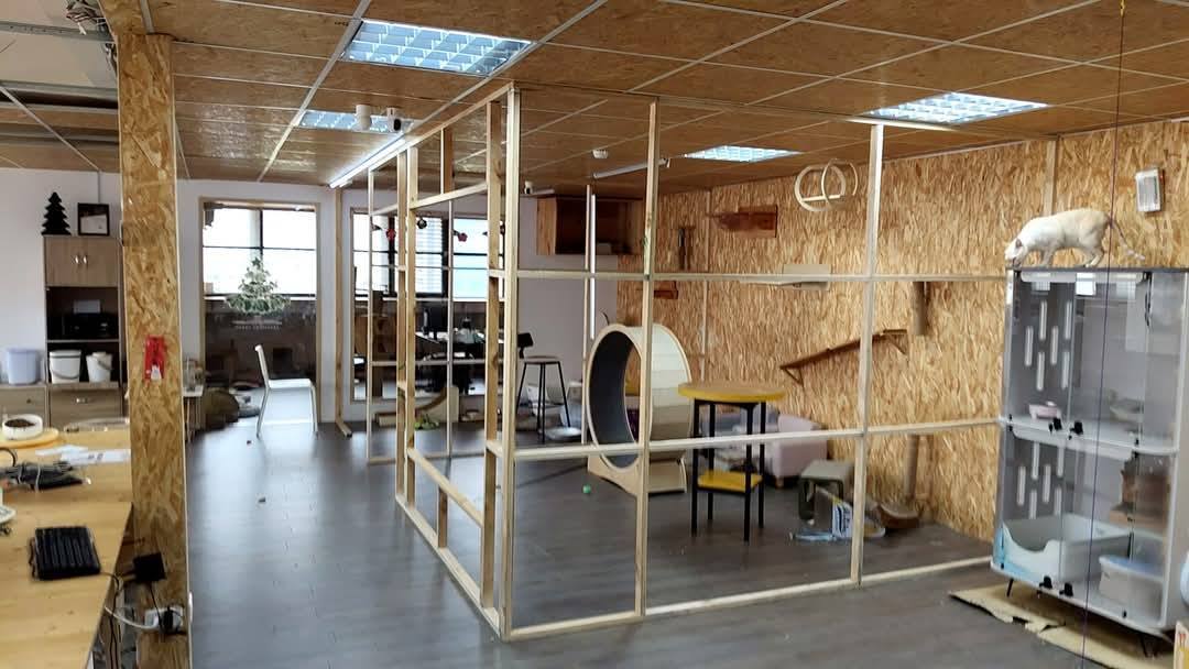 【新北裝潢】毛怪樂園~木作工程│水電工程&玻璃工程│唐莊企業有限公司│木居手作工坊 - 第5張圖 6