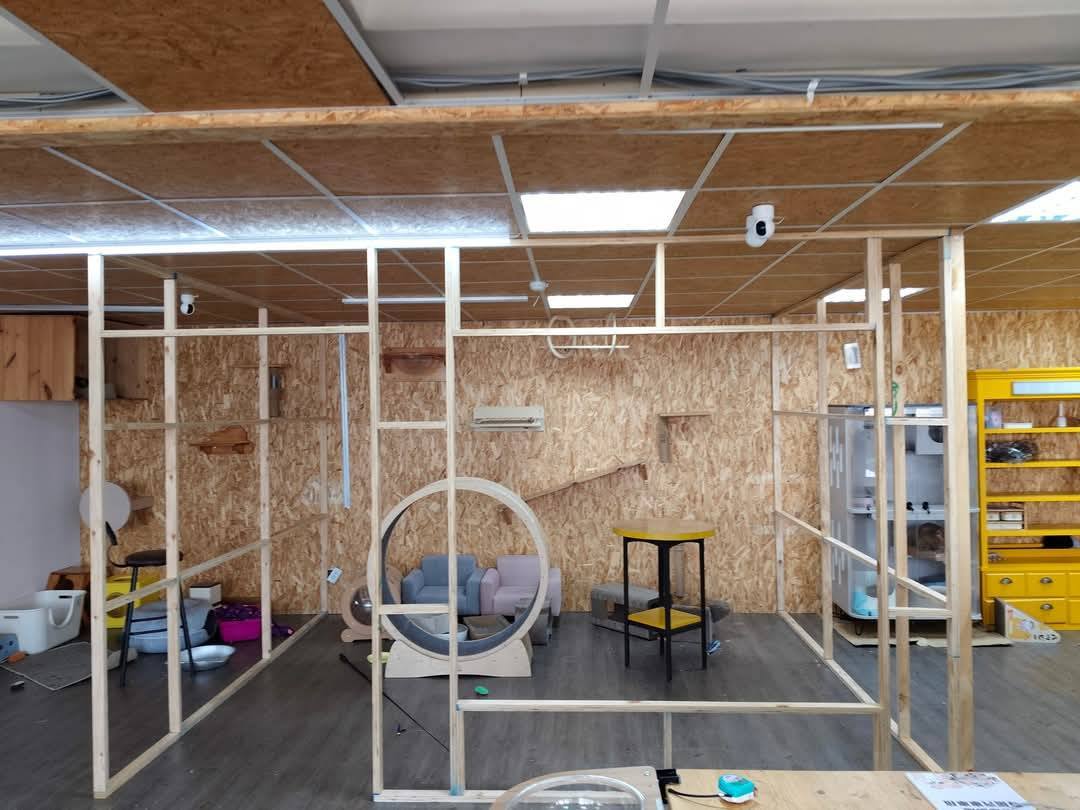 【新北裝潢】毛怪樂園~木作工程│水電工程&玻璃工程│唐莊企業有限公司│木居手作工坊 - 第6張圖 7