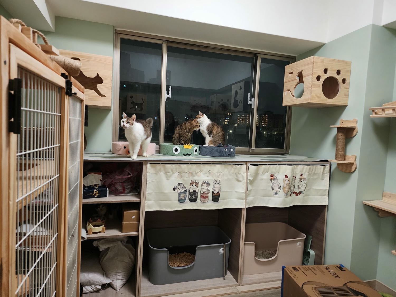 【客製化商品】貓房訂製的貓箱~跟屋外貓箱設計│木工構圖設計│唐莊企業有限公司│木居手作工坊 - 第22張圖 22