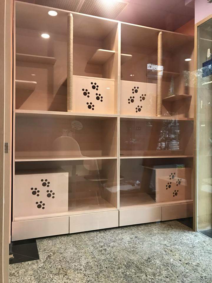 【客製化商品】各種大型貓櫃~貓咪豪華複合式活動櫃│木工構圖設計│唐莊企業有限公司│木居手作工坊 - 第5張圖 7